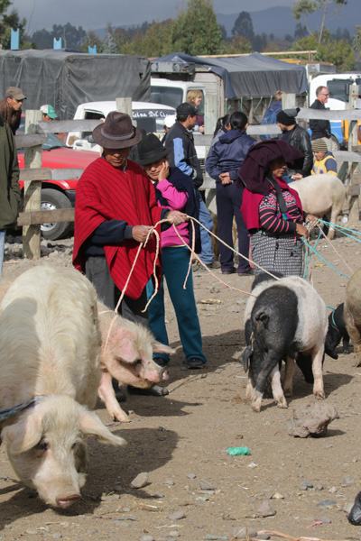Markt in Riobamba